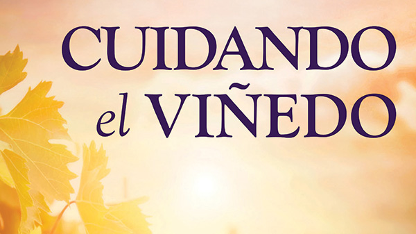 020626 Espanol DSA title slide