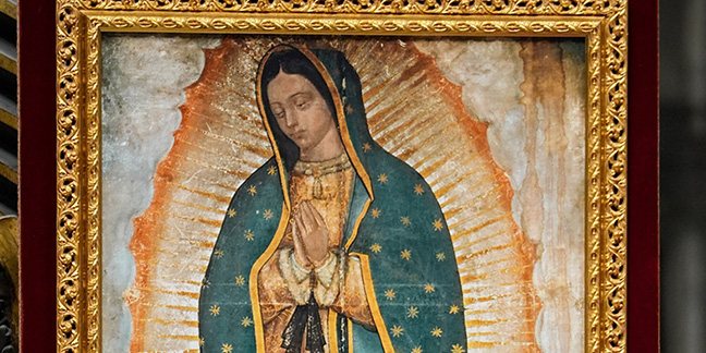 El Papa León concede Año Jubilar Guadalupano