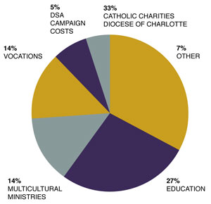 020218 pie chart