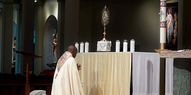 Eucharistic Adoration: The Basics