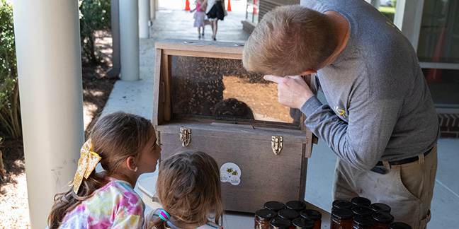 St. Matthew abuzz over bees and honey 