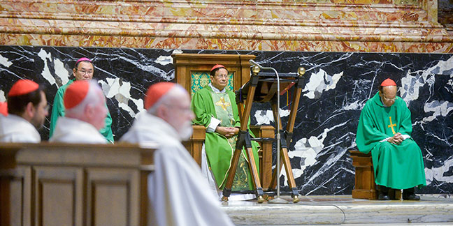 Braless model goes to meet Pope Francis and is led away by