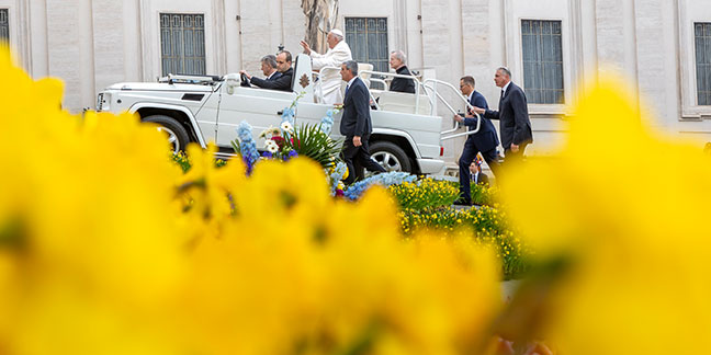 Righteous people work for the good of all, pope says