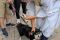 Deacon Ralp blesses happy animals at St. Leo the Great Church in Winston-Salem. 