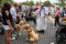 ST_MET_PET _0367 (Copy)