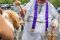 ST_MET_PET _0409 (Copy)